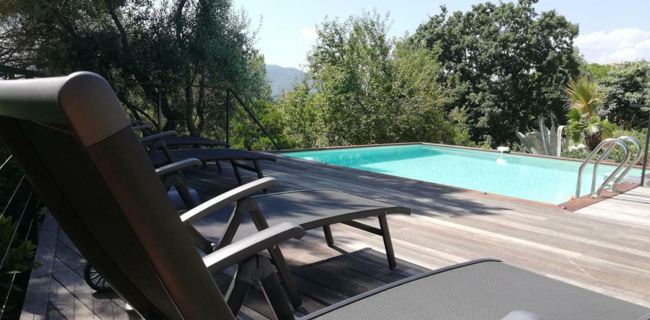 La Carat Appartement Cannes