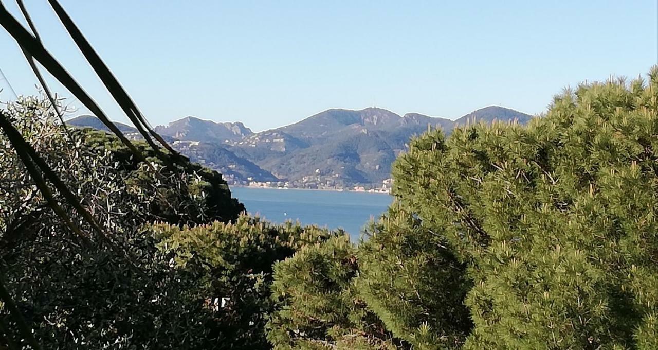 La Carat Apartment Cannes